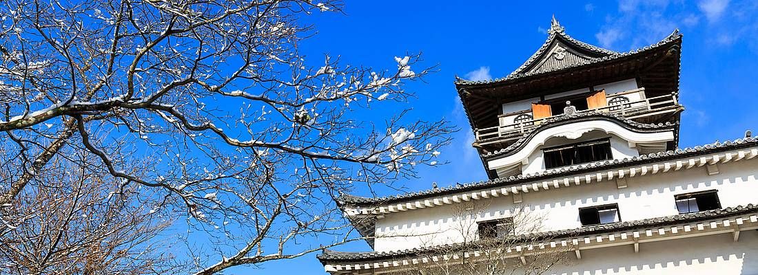 Il castello di Inuyama in primavera.